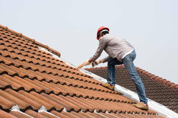Best Tile Roofing Installation  in Al Creek, CO