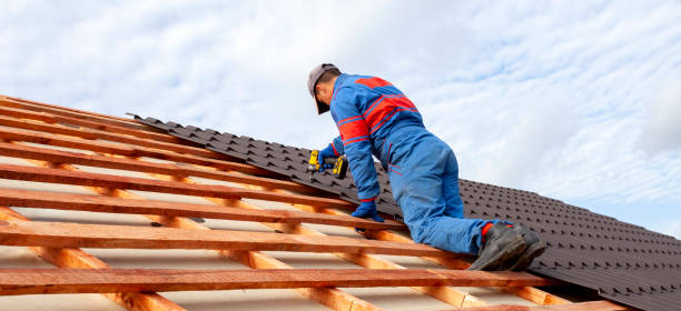 Best Roof Moss and Algae Removal  in Al Creek, CO