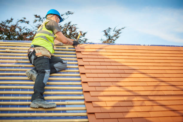Fast & Reliable Emergency Roof Repairs in Coal Creek, CO